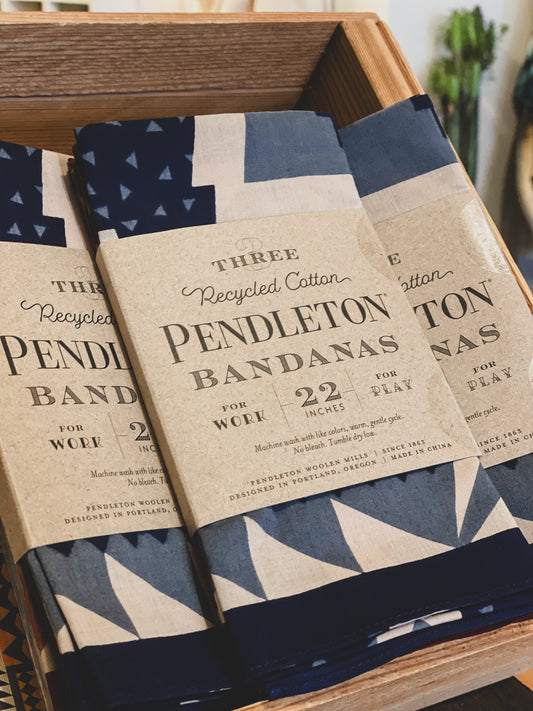 Pendleton 3-Pack Bandana | Rock Point