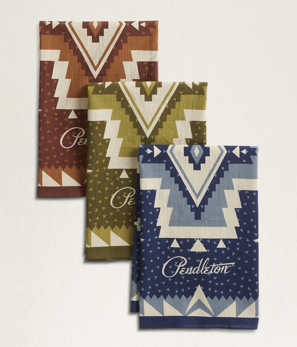 Pendleton 3-Pack Bandana | Rock Point