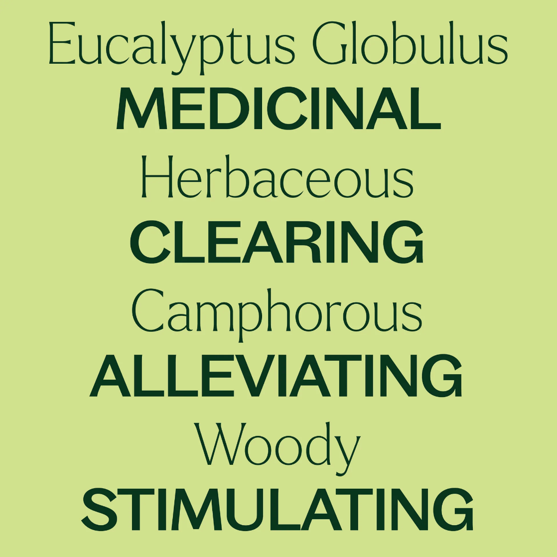 Organic Eucalyptus Essential Oil 10 mL