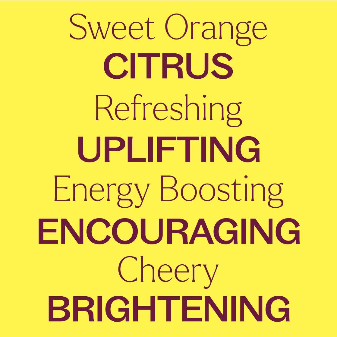Organic Sweet Orange Essential Oil 10 mL