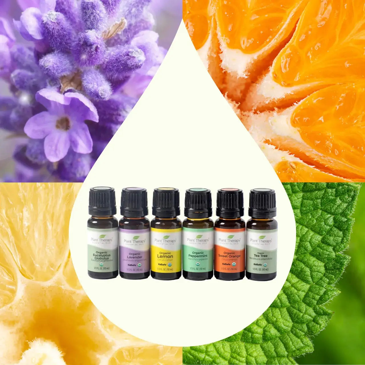 Organic Sweet Orange Essential Oil 10 mL