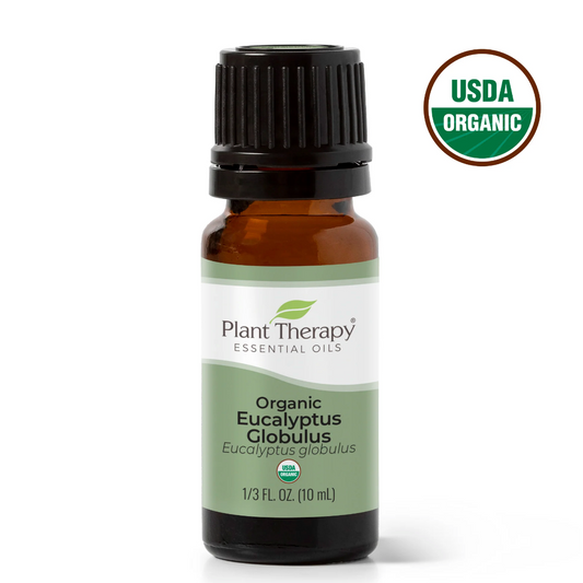 Organic Eucalyptus Essential Oil 10 mL